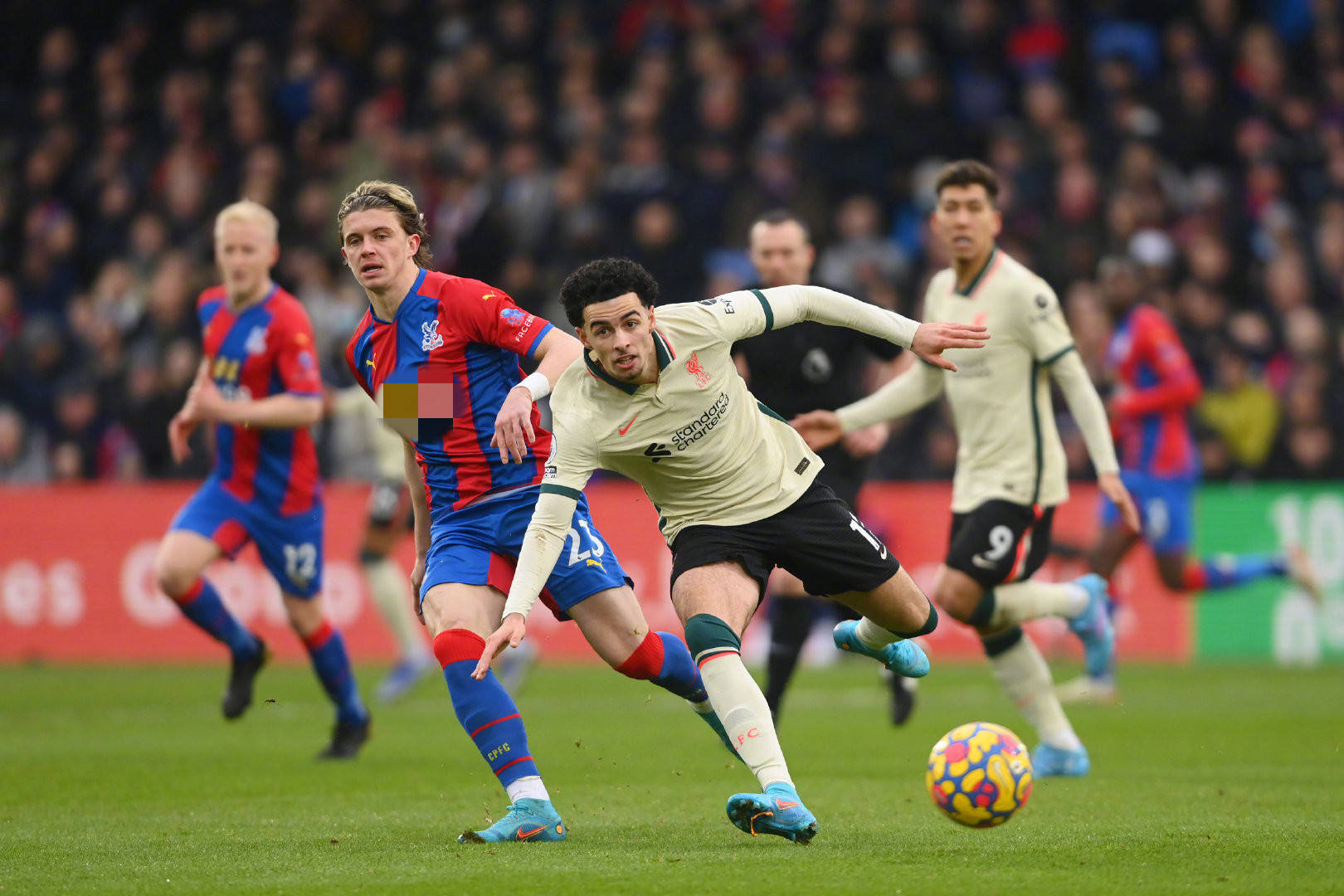 队注入生机 队注入生机